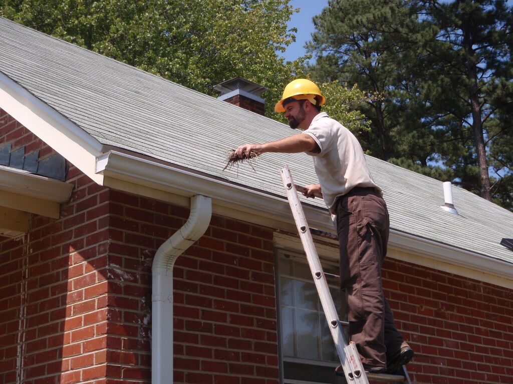 Gutter Cleaning